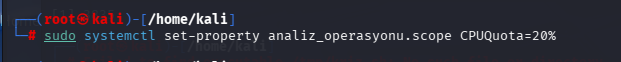 cpu kullanımının %20 yapılması