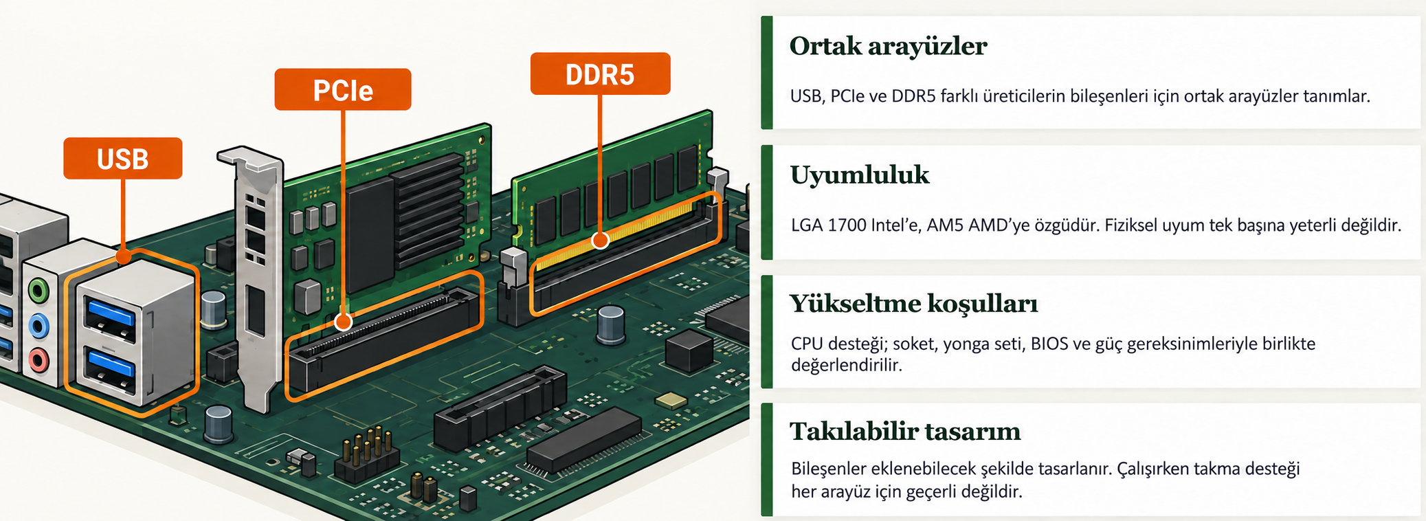 USB, PCIe ve DDR5 gibi ortak arayüzler ile işlemci yükseltmesindeki soket, BIOS, yonga seti ve güç uyumluluğu koşulları.