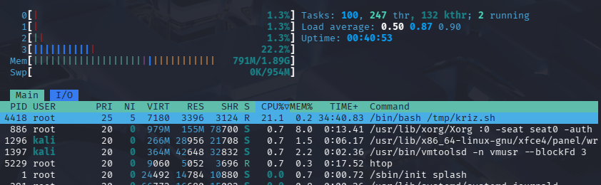 htop ekranında cpu ‘nun %20 ye düşürülmesi