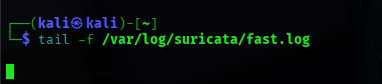 fast.log dosyasının izlenmesi