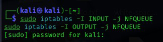 NFQUEUE kurallarının eklenmesi