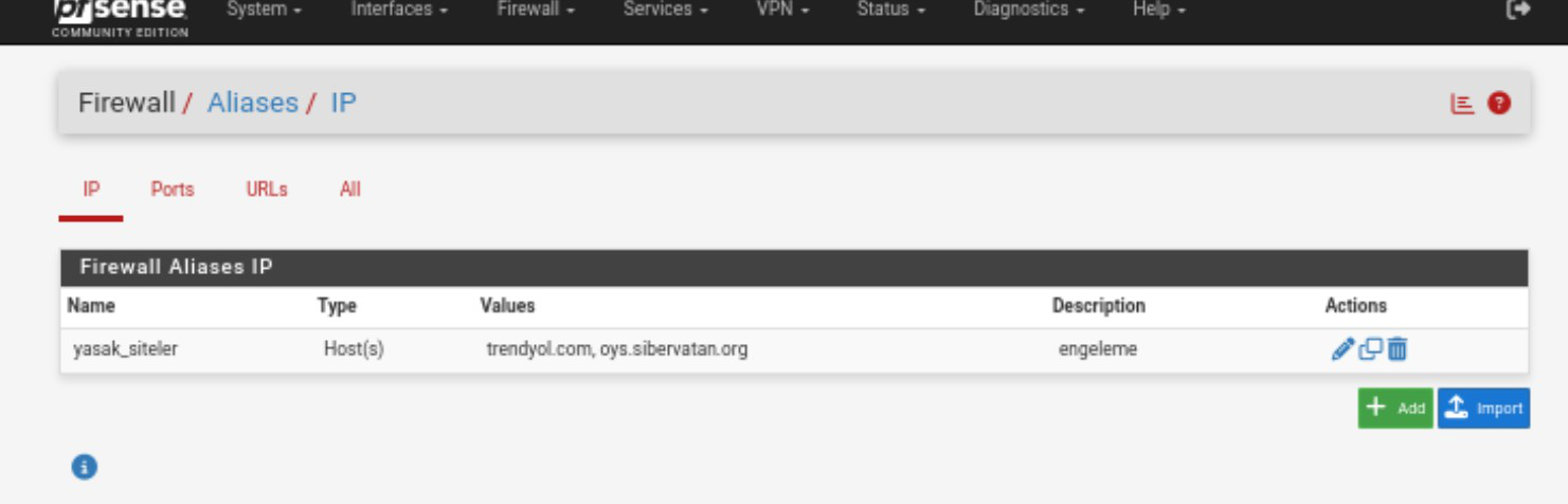 Firewall / Aliases / IP listesi