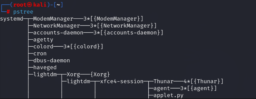Örnek process tree