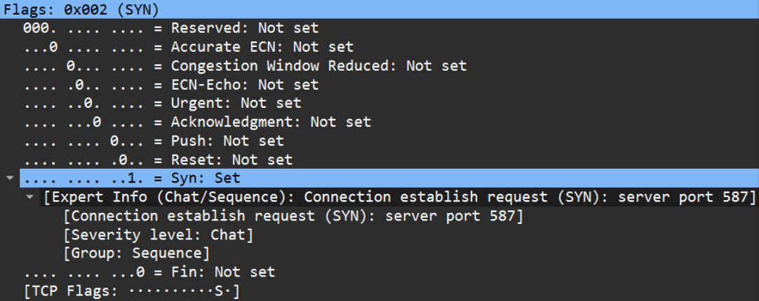 TCP Bayrakları Detayı (SYN Set)