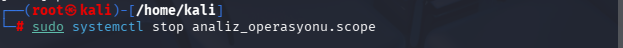 systemctl komutu ile sürecin sonlandırılması