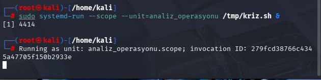 systemd-run komutu çalışma anı