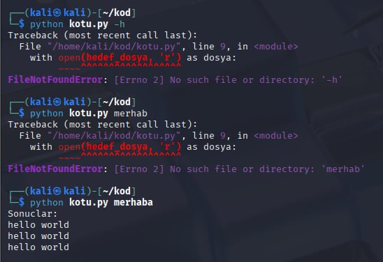 Hatalı argümanlarda traceback gösteren CLI örneği